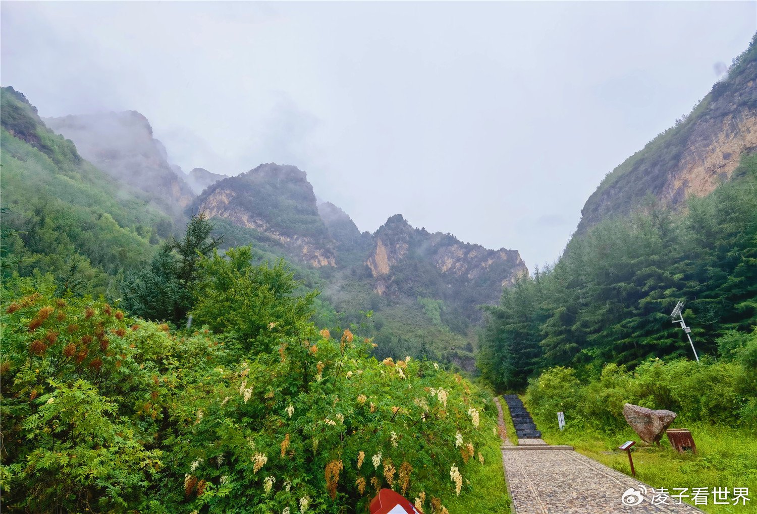 打卡甘肃遮阳山,探访张三丰成仙地_漳县_名人_峡谷