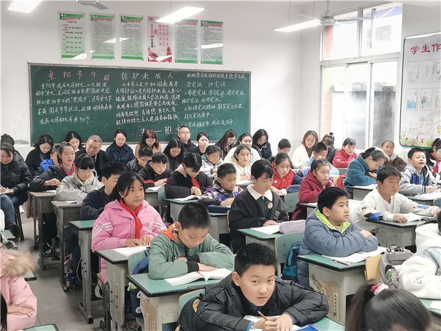 小学语文教学图片