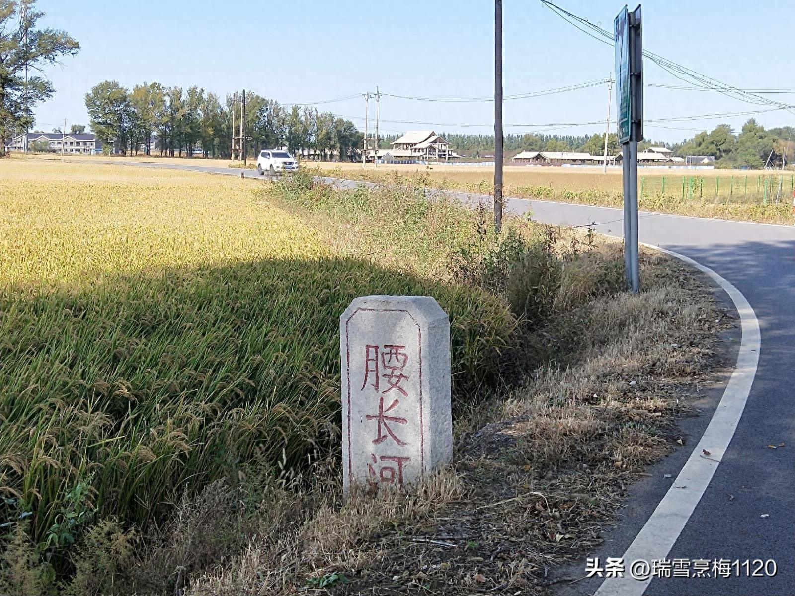 中药材种植合作社起名，合作社起名