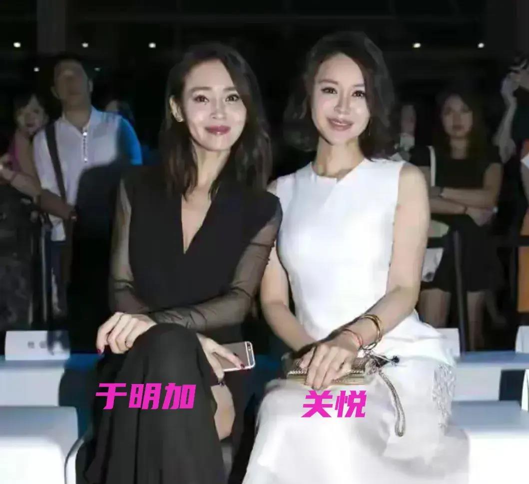 关系却长得一模一样的九对女明星,我已傻傻分不清_于明加_姐妹_刘涛
