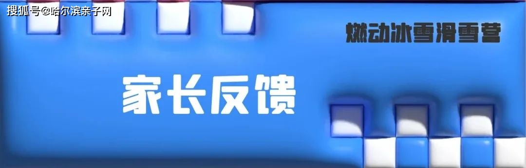 原地轉向摔倒後正確起身正確的摔倒方法基礎姿勢犁式轉彎犁式剎車八字