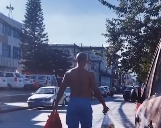 乐嘉光膀子上街秀肌肉，牵着大赛犬横穿街道，遛狗却不牵绳 
