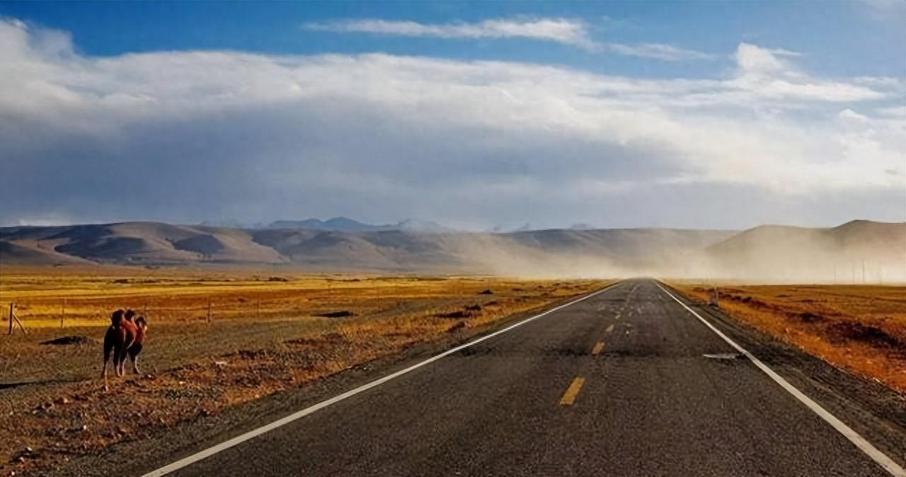 塔里木沙漠公路图片
