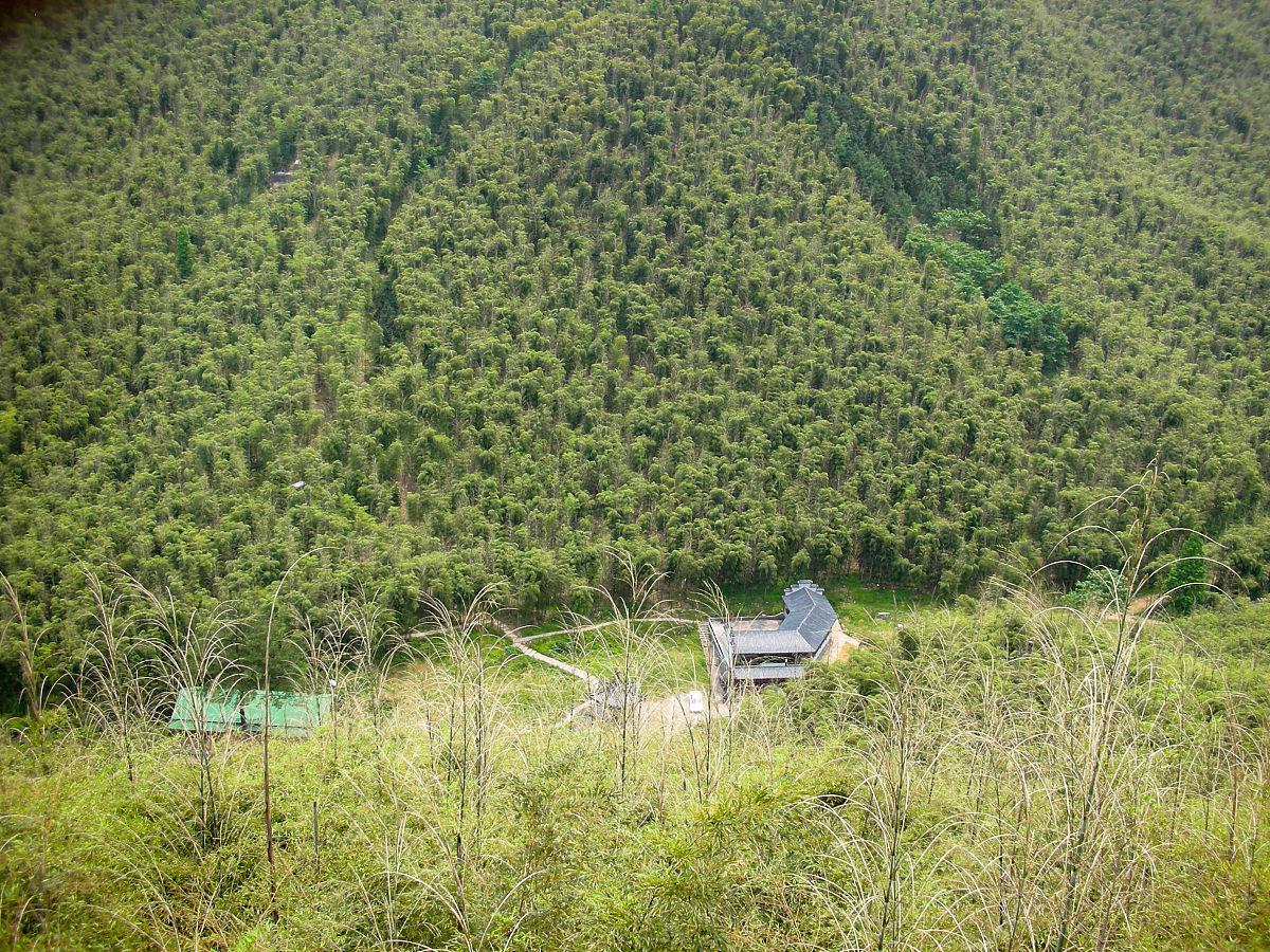 浙江湖州安吉白茶觀景平臺:茶海與山巒的絕美交匯