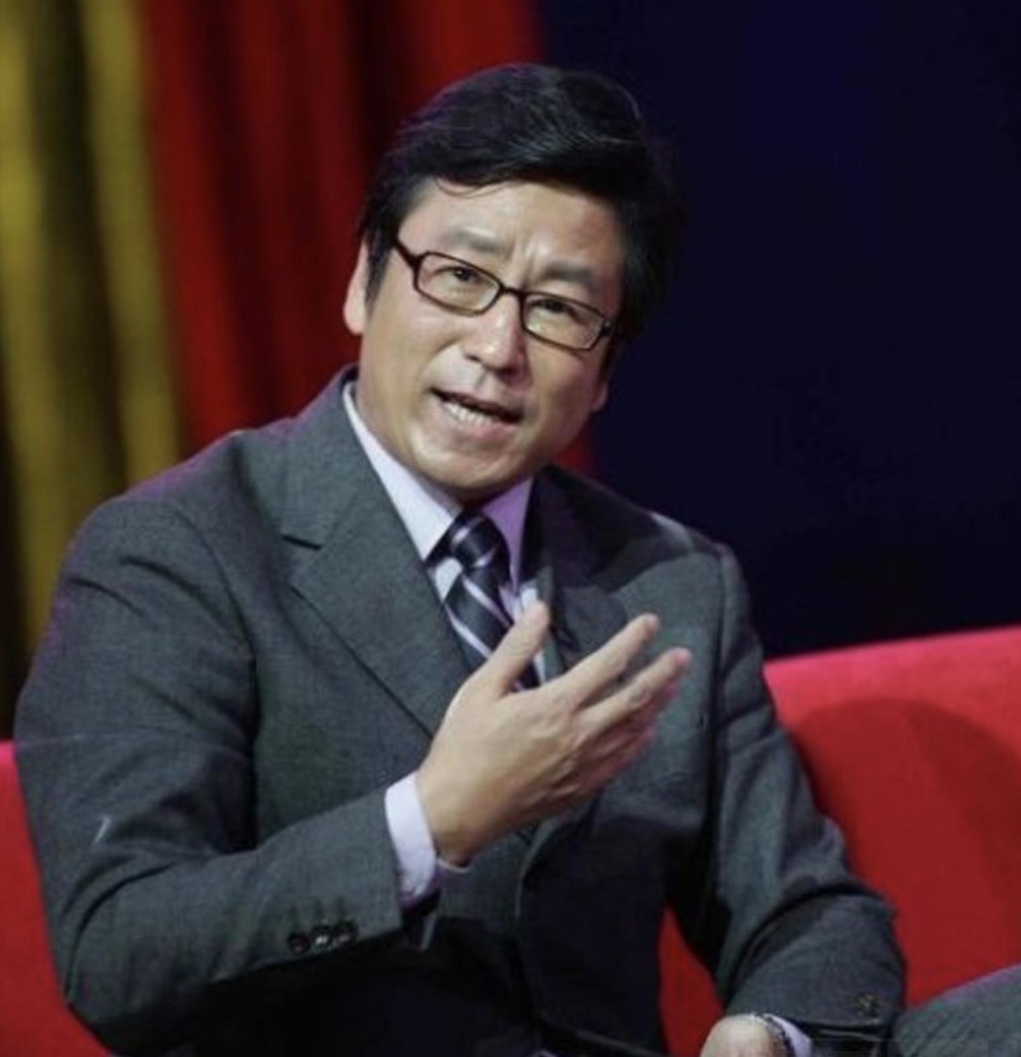 贬低全红婵,白岩松被骂上热搜,再看王朔对他的评价,一针见血_跳水