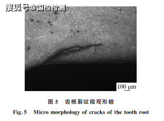 分享:齒輪磨削裂紋成因分析_齒根_表面_組織