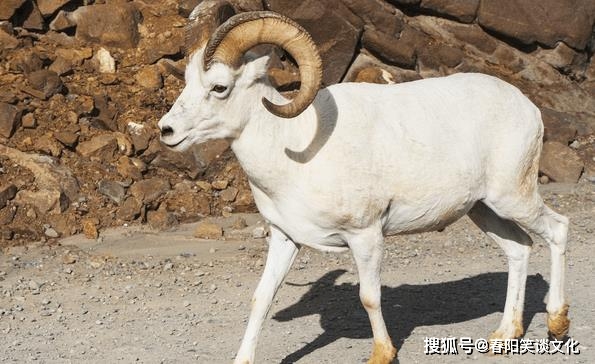 工作_事业_贵人