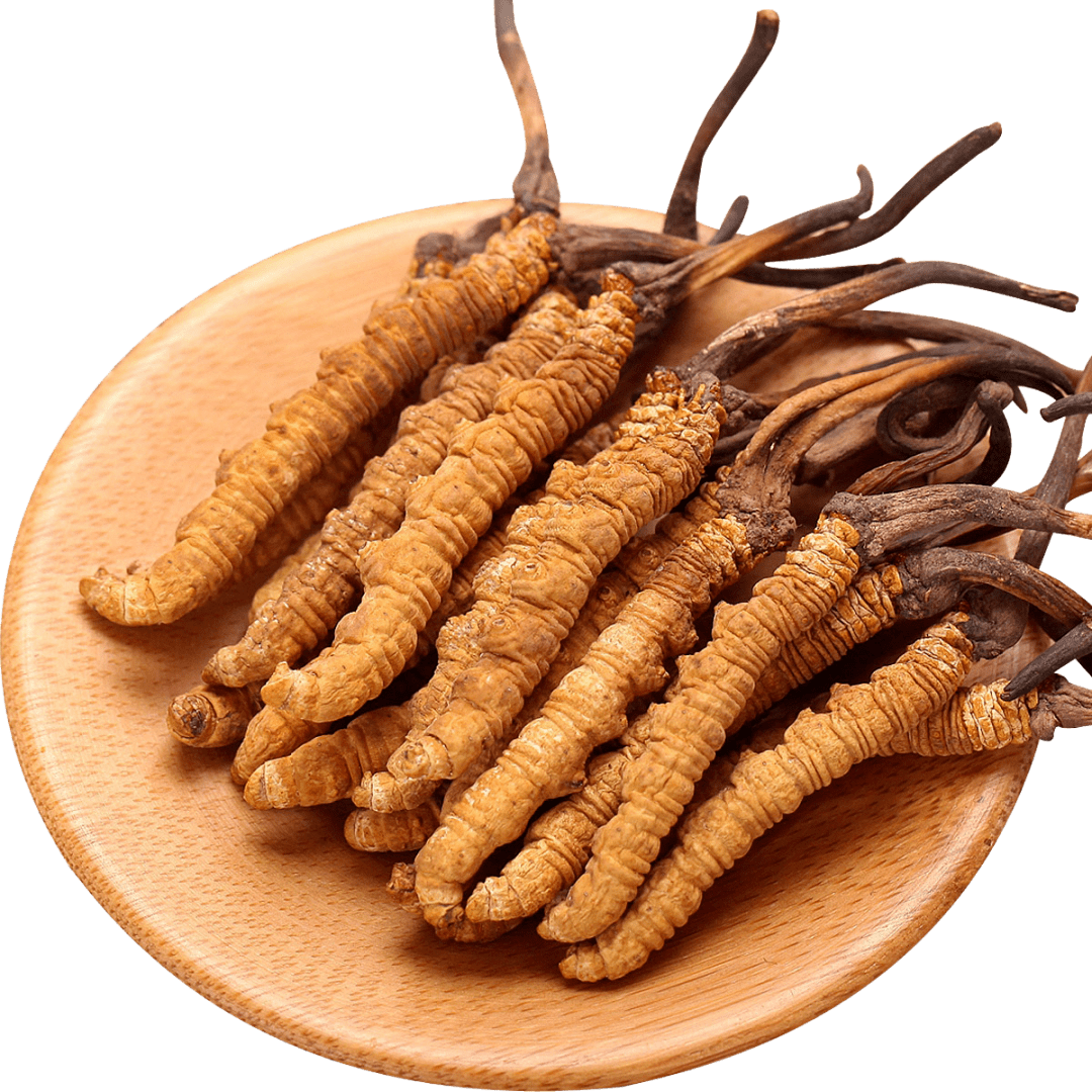 西域草堂冬虫夏草,冬虫夏草的食用_功能_产品_吃法