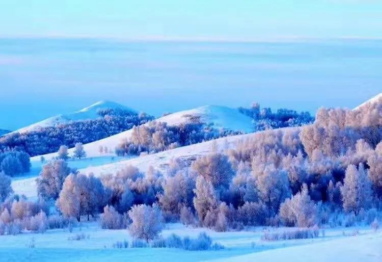 草原雪景描写图片