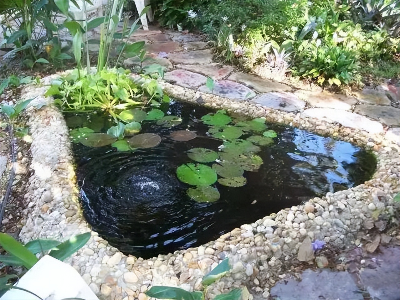 小院自制喷泉,就是这么简单,就是这么漂亮!_花盆_庭院_水泵