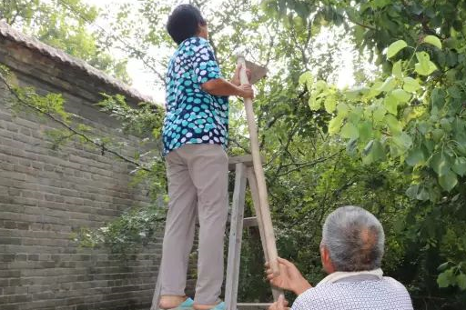 70歲的父母在鄉村的幸福生活_母親_地方_城市生活