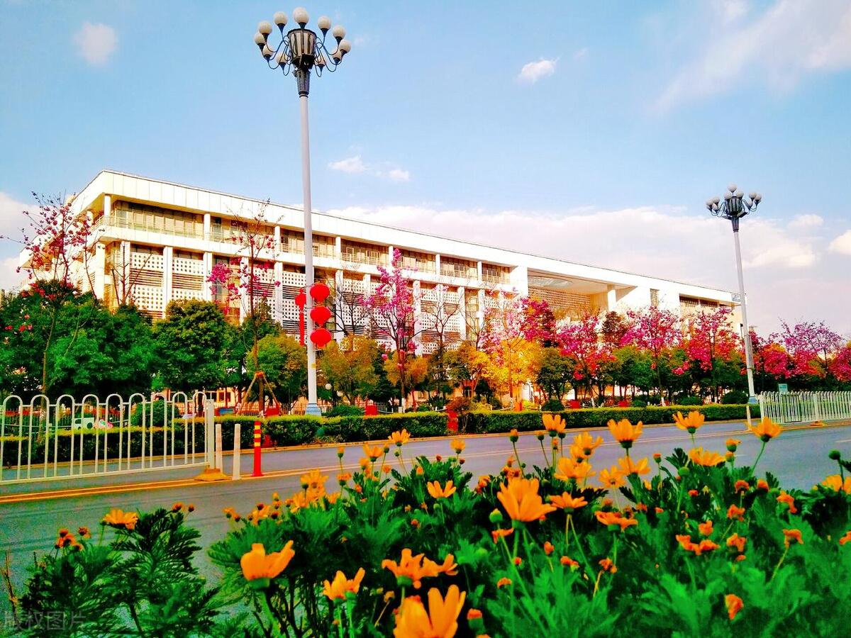 新闻传播学第130,教育学第168,2023昆明城市学院最好学科排名