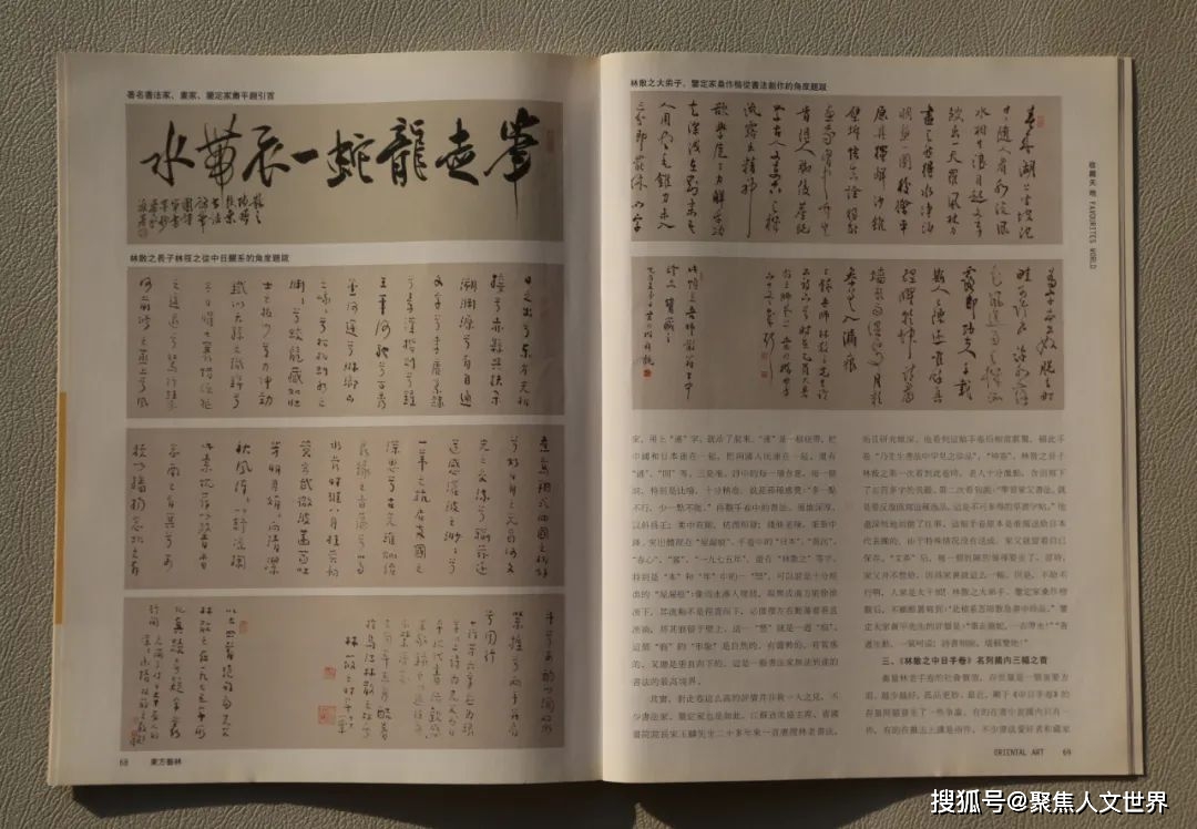 美國《天下華人》雜誌社社長高雲青專訪