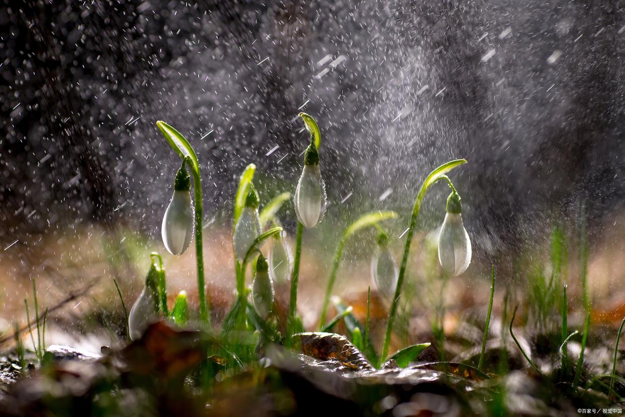 详说二十四节气:雨水,润物无声滋润万物生长_中国北方地区_气温_降水
