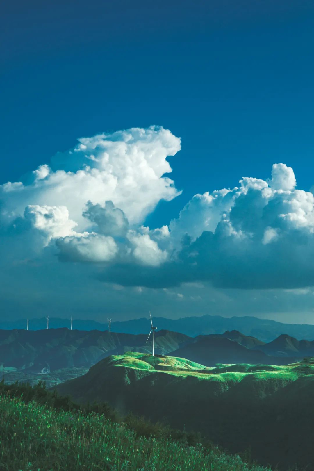 这座夏天19℃的"蜜雪冰城"有多好吃?