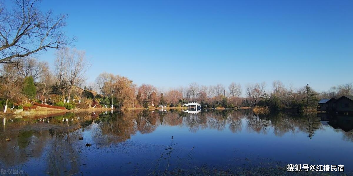城中心的绿色净土,清音公园_自然_城市_宁静