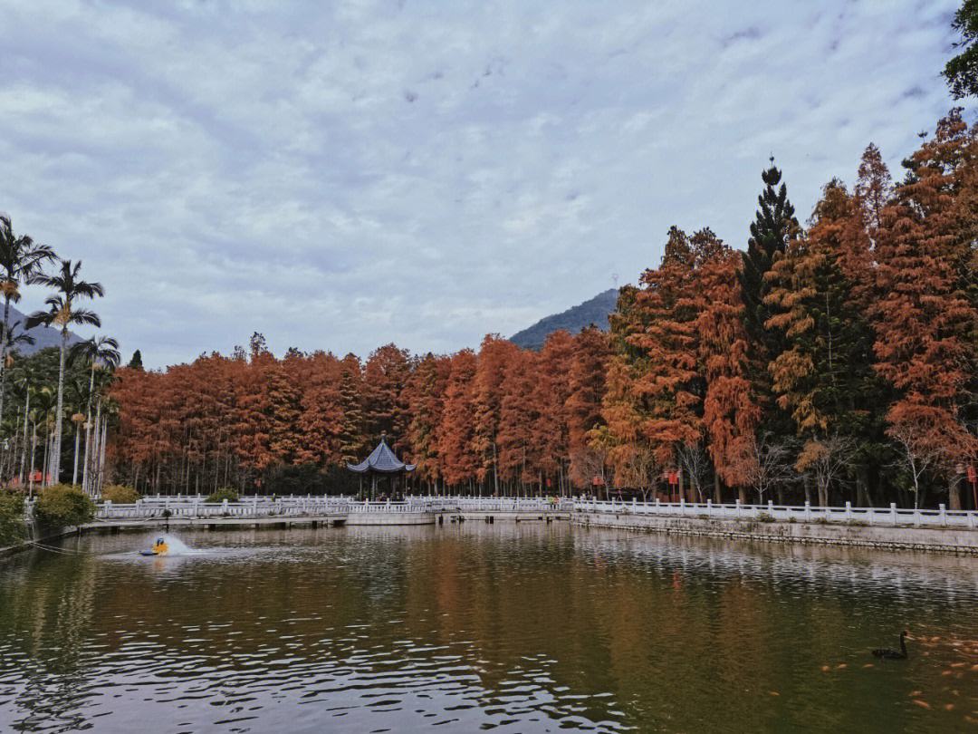 全国十大森林公园之一,门票免费,全年开放,旅游秋冬季最佳