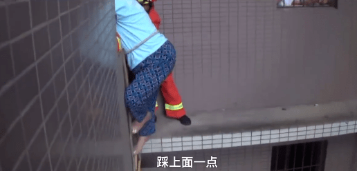 女子寻猫,坠井失踪48小时,结果猫自己跑回家了,网友:爱猫是认真的…… 女子寻猫,坠井失踪48小时,结果猫自己跑回家了,网友:爱猫是认真的……