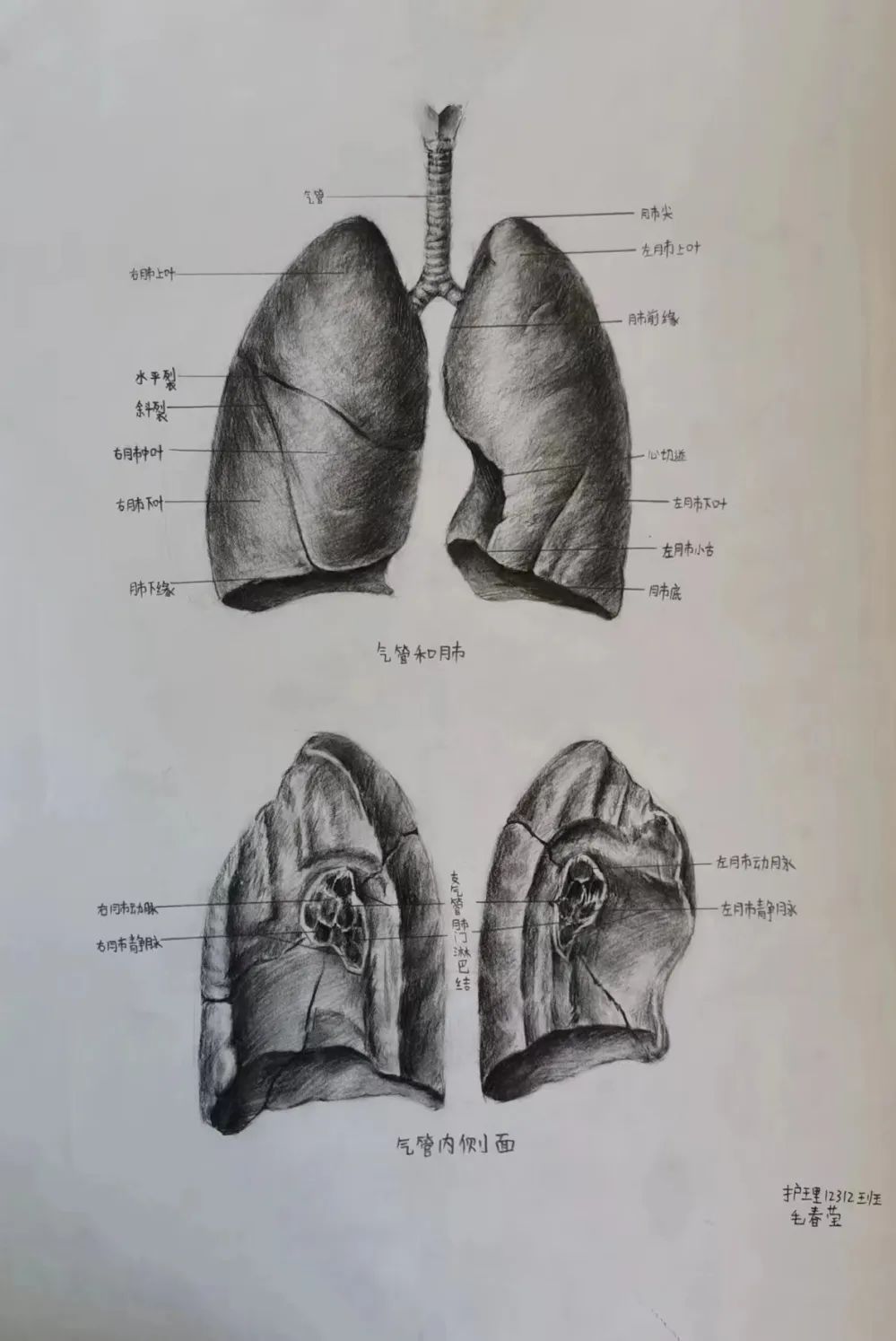 宝职学子医笔生花