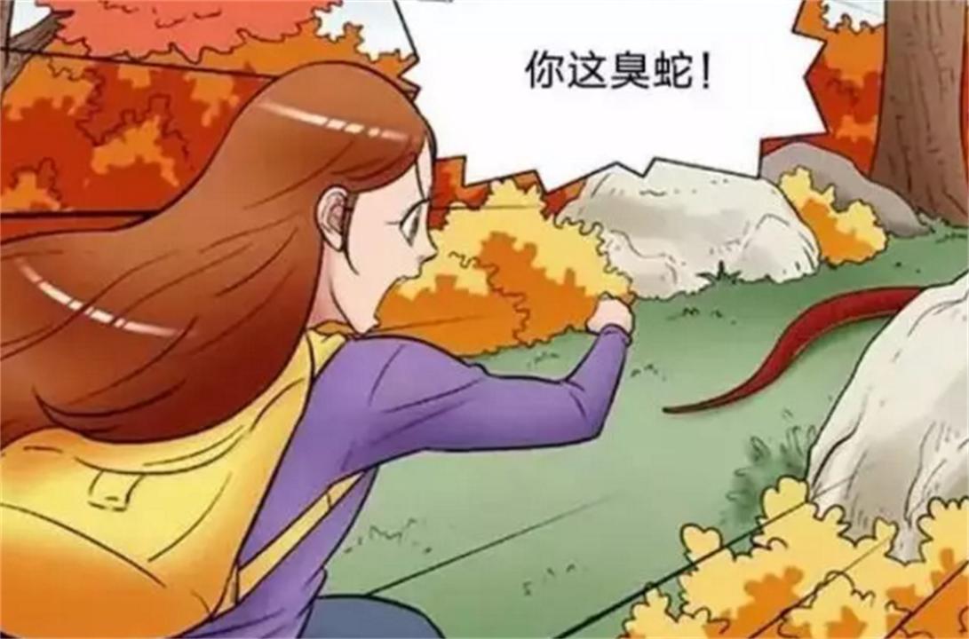 蛇冬眠时“任鼠宰割”，很有可能会被吃掉，那蛇为何一定要冬眠？(图10)
