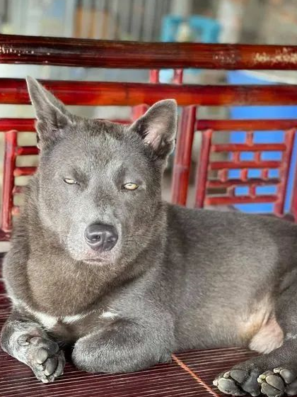 依旧是刻在dna里的搞笑看着dúi的"帅图"真滴是忍不住全部做成表情包!