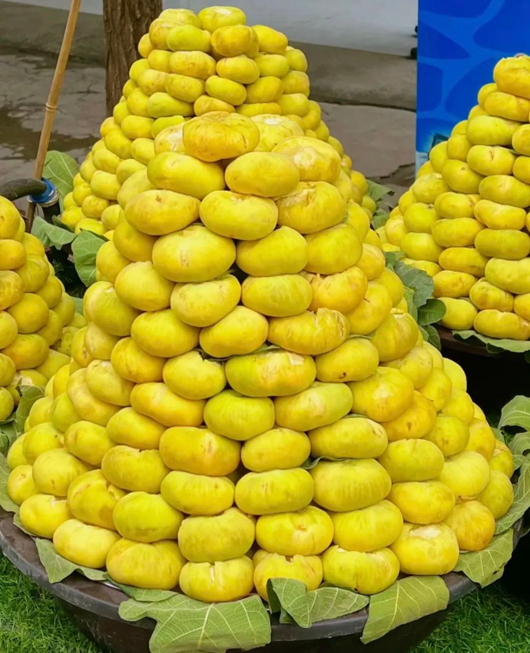 阿图什,一座因足球而沸腾的城市_小城_无花果_人们