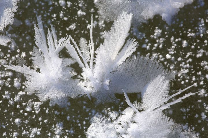 冰花的形成过程图片