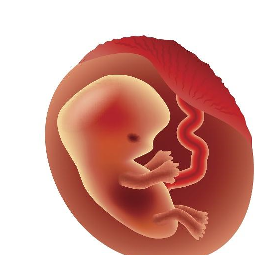 为什么现在胎停越来越多,其实胎停也有暗示信号,孕妈