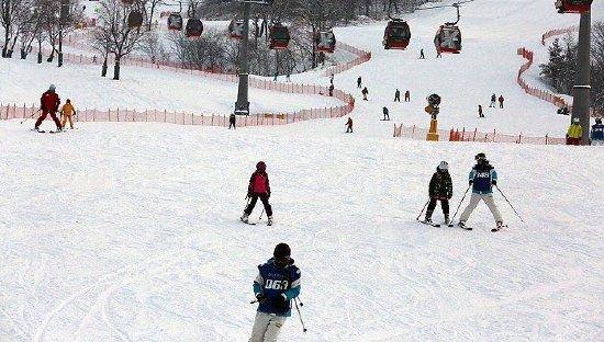 东北冰雪游升温，云南、海南旅行社北上“掘金” 