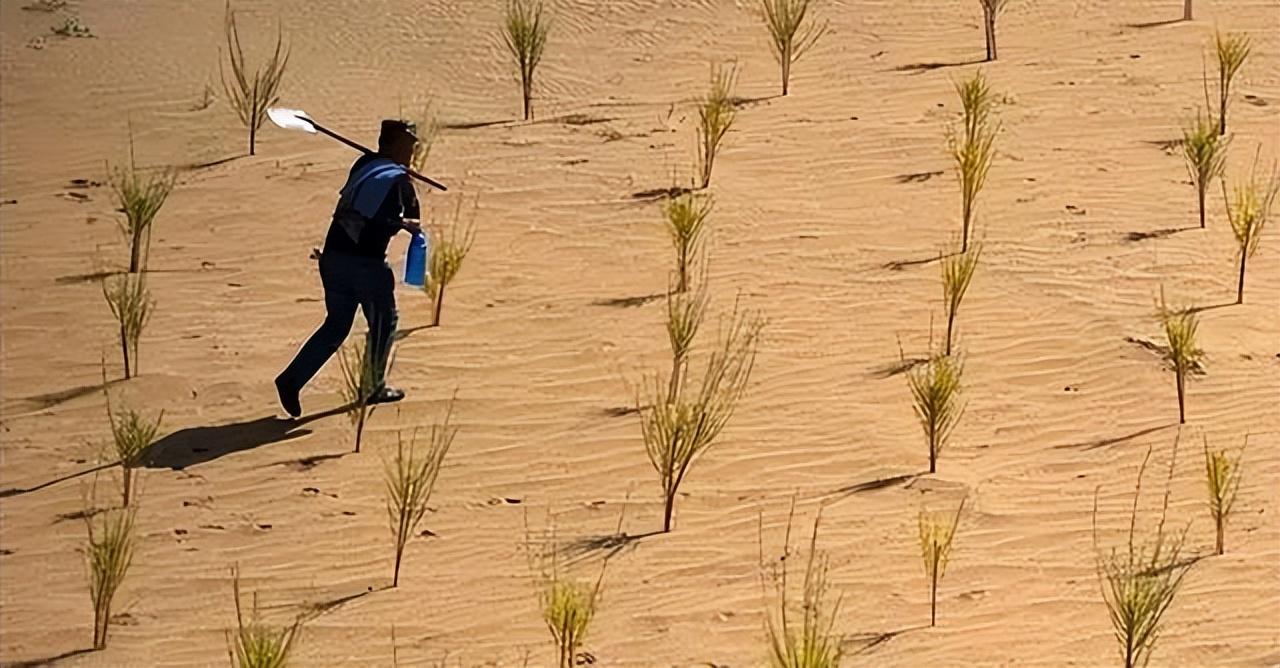沙漠难道不应该植树造林？为何外国人警告说：沙漠植树弊大于利(图5)