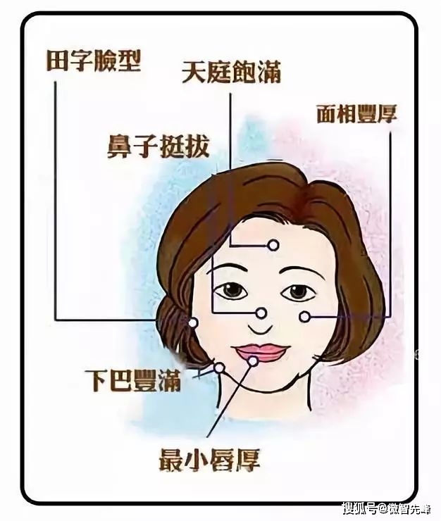 女人面相學圖解,全方位瞭解你的富貴!_一個人_女性_性格