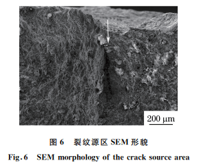 在该油管断口及外表面牙痕裂纹处取样,经醋 酸纤维 丙酮试剂清洗后