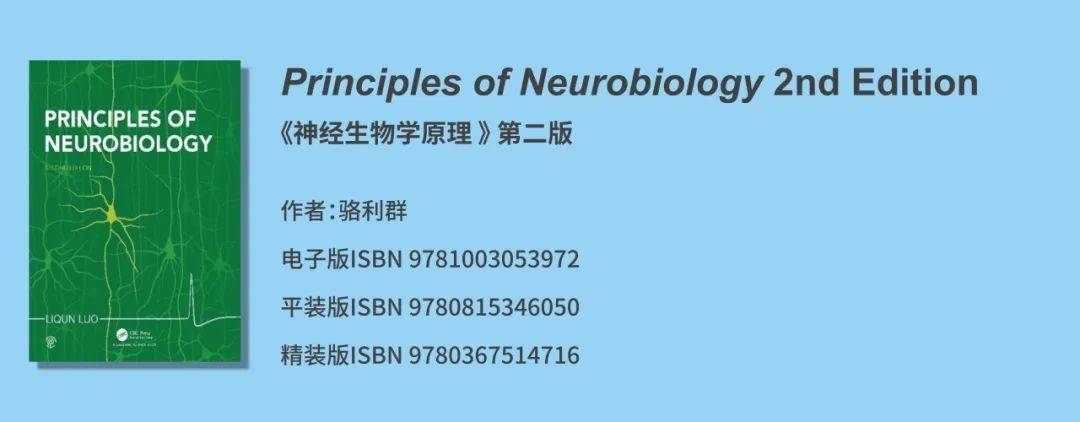 骆利群院士神经生物学教材- Principles of Neurobiology《神经