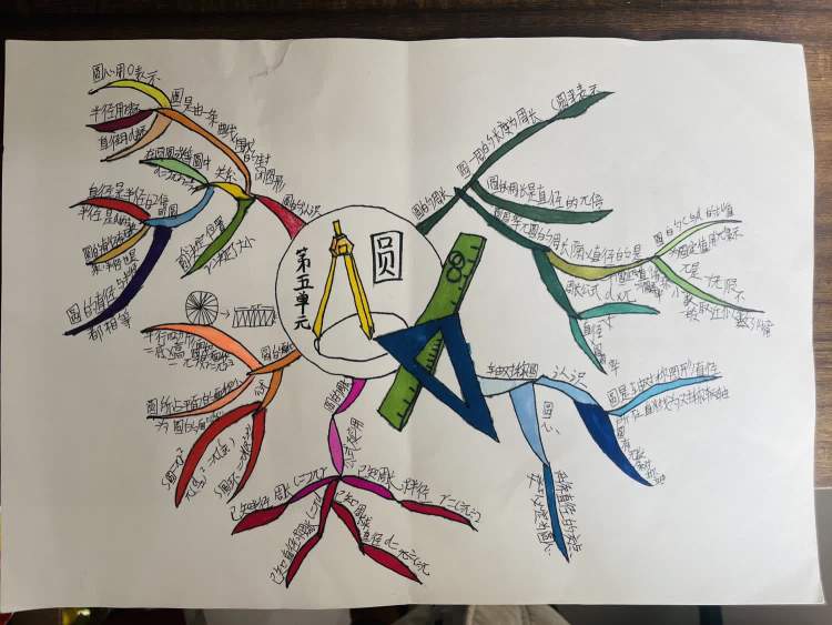 定陶区第四实验小学六年级数学主题活动_知识_思维_错题