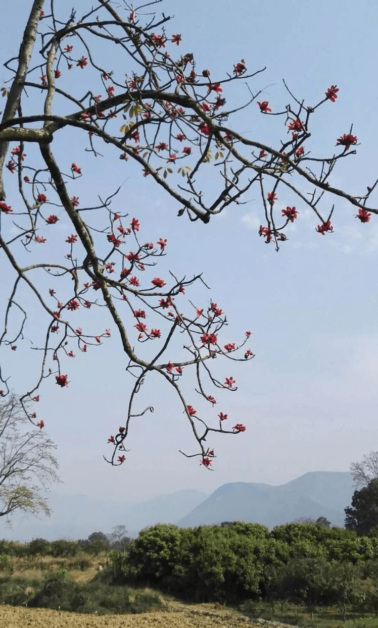 怒江明珠潞江坝