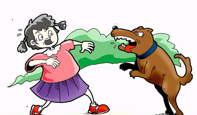 且不说狼心狗肺,猪狗不如这些人为性侮辱动物的词语,就说狗自身,它