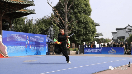 鄆城縣宋江武校大洪拳代表隊榮獲展演大會優異成績_山東省_項目_武術