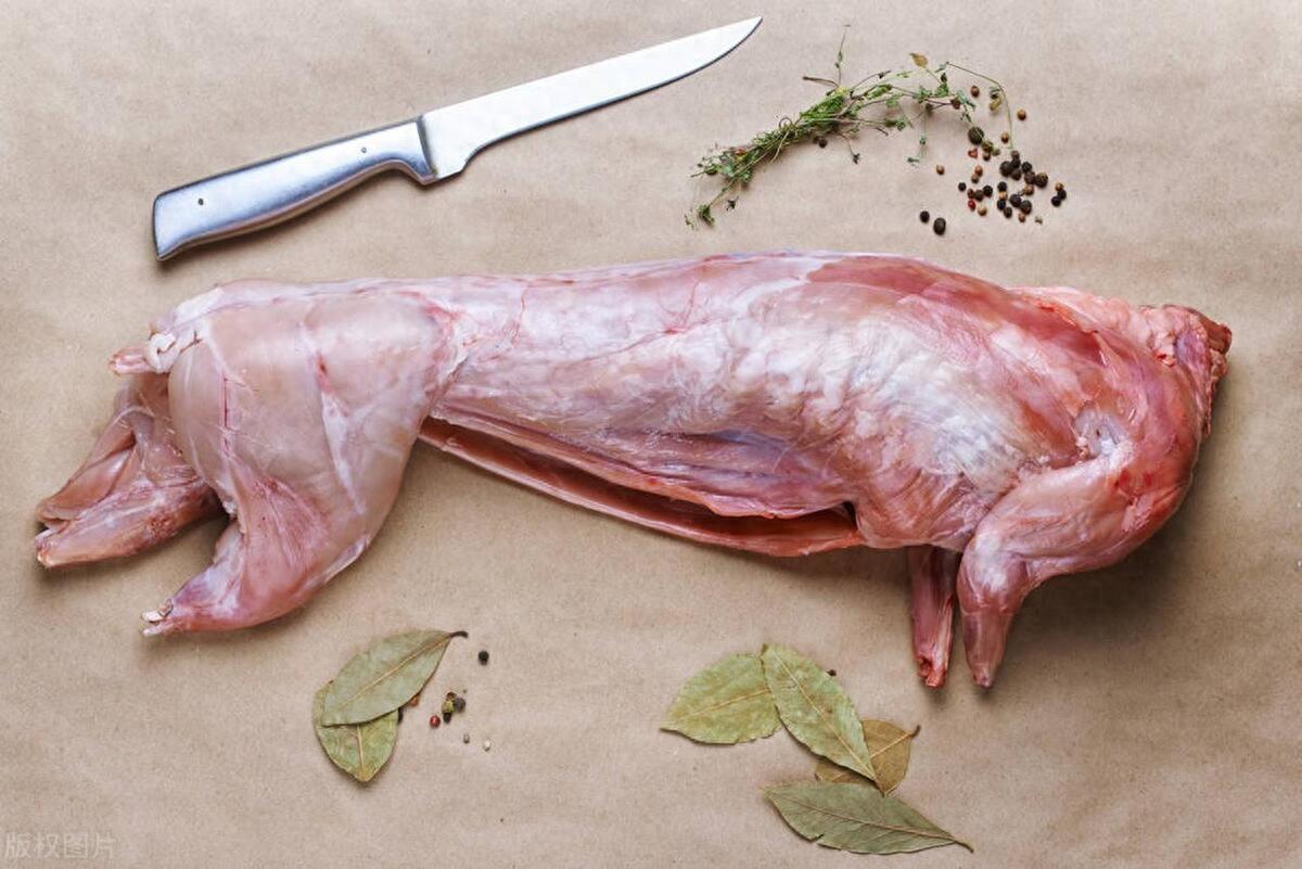吃草就能长肉，繁殖能力惊人的兔子，为何没**类主食的肉类？(图1)