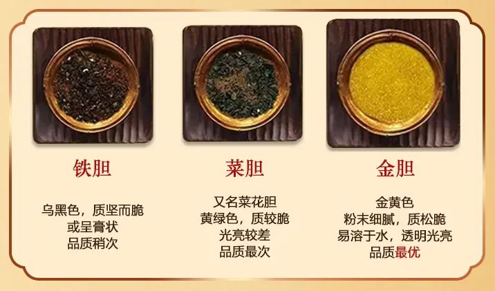 熊胆粉治疗咽喉肿痛,口舌生疮等_黑熊_肝脏_品质