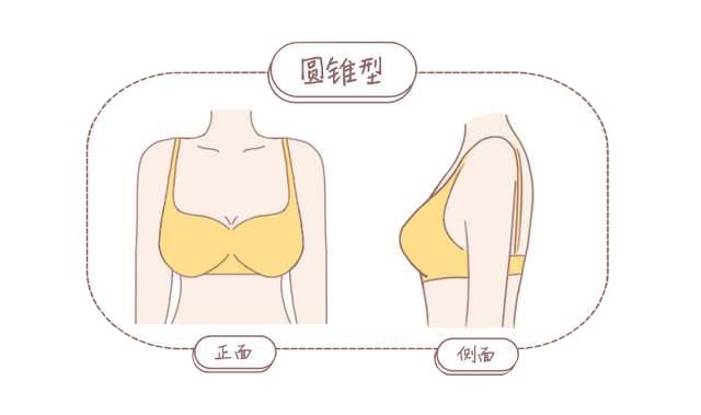 内衣周刊|爱戴:和内衣「八字不合」,可能是你不够了解自己的胸_乳房