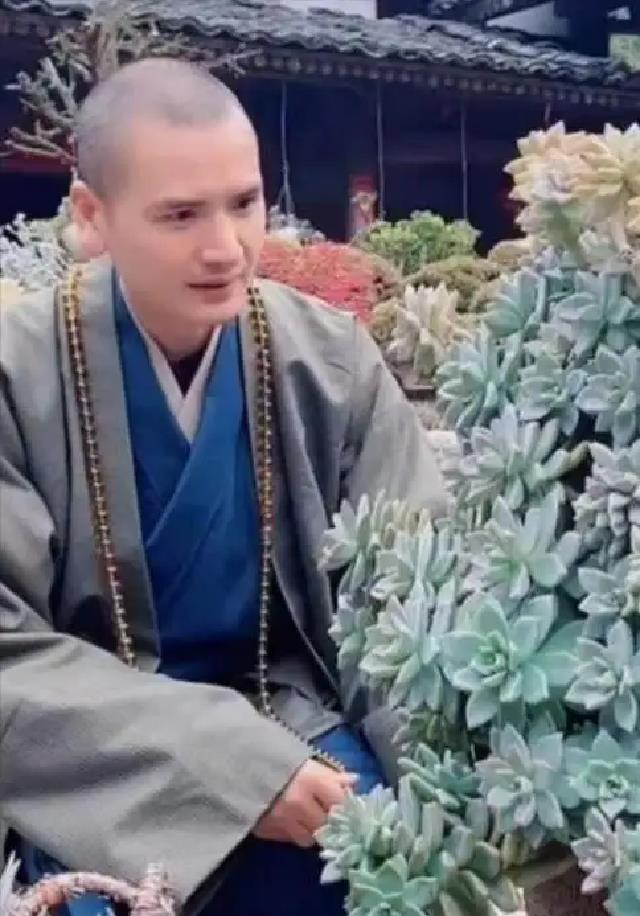 释明心和他养的多肉却没想到一下子就火起来了,释