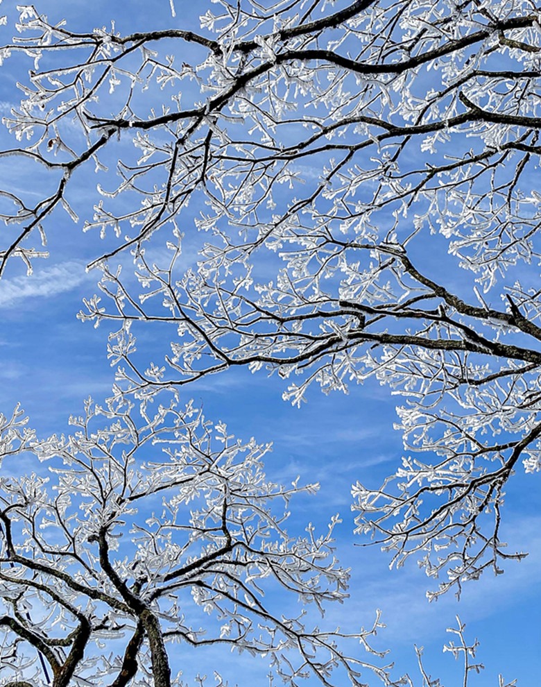 湘北最美雪色 岳阳天岳幕阜山雾凇雪景实景