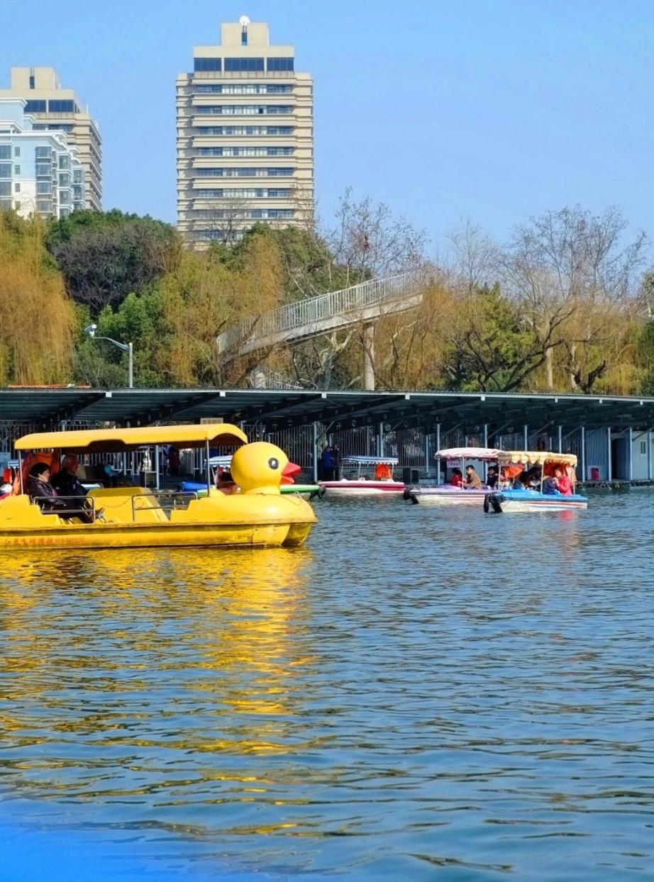 上海普陀长风公园景色如画_草坪_景点_休闲