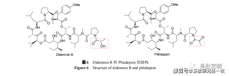 海洋生物活性肽在藥物研發中的應用進展_生物圈_合成_研究