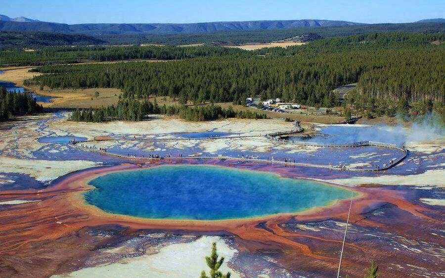 地球上最孤独的物种之一，生活在地下2800米处，靠放射性辐射活着(图1)