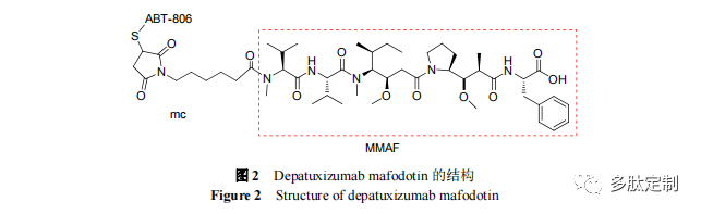 海洋生物活性肽在藥物研發中的應用進展_生物圈_合成_研究