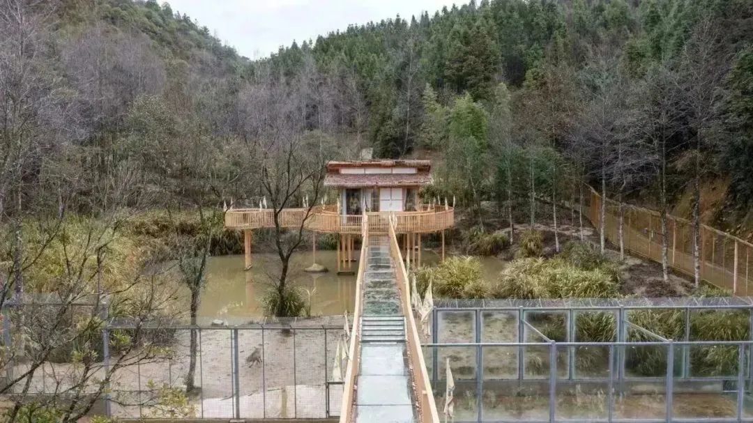 江西野狼谷| 山野万里,藏不住秋天的爱意!