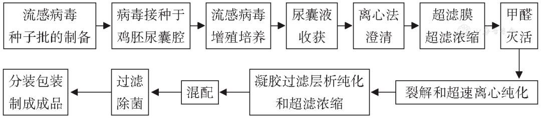 流感甲1(h1n1),甲3(h3n2)和乙型疫苗株(北半球)分別接種雞胚/細胞培養