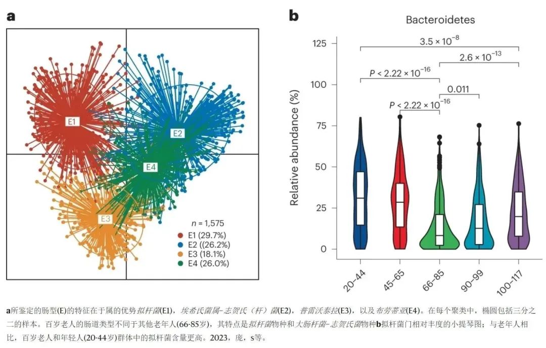 中國科學家給出最新答案!_研究_微生物_桿菌