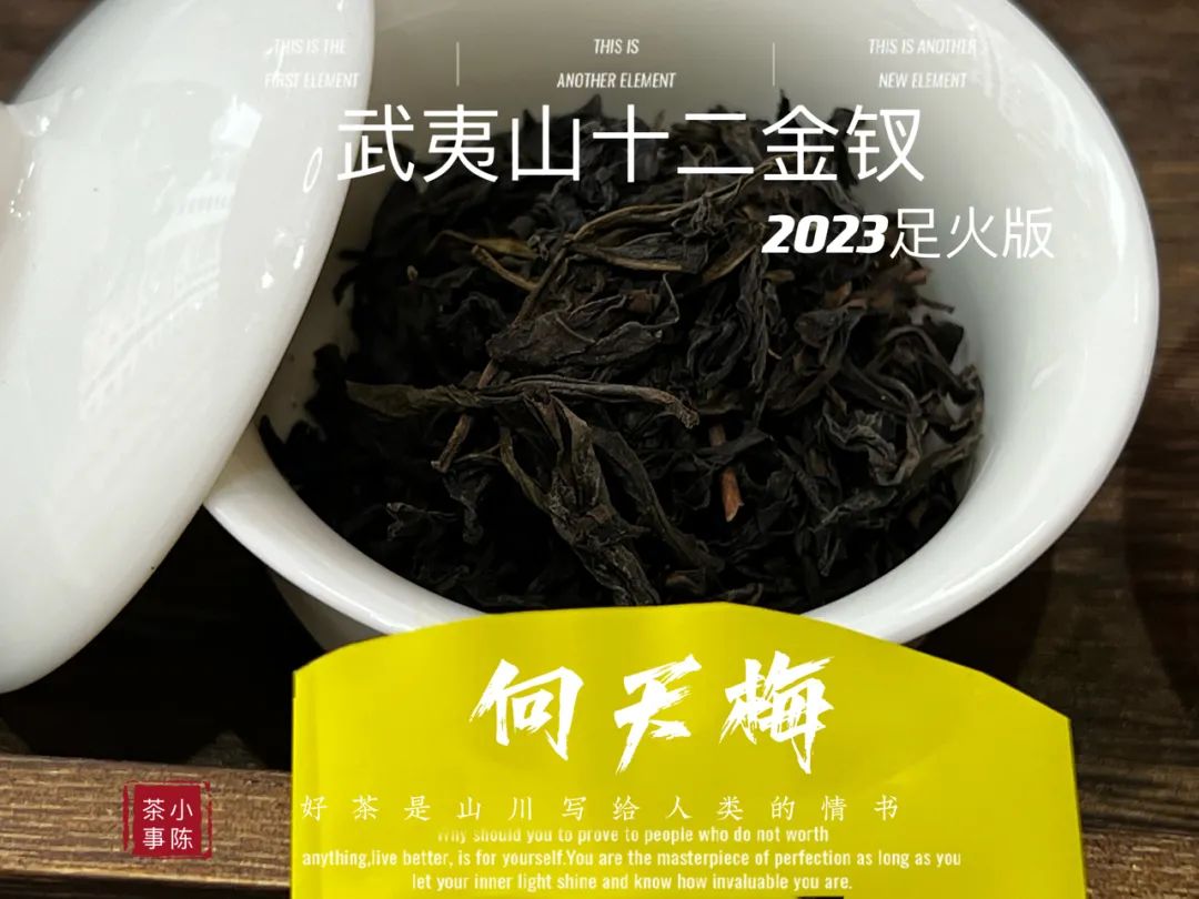 素心兰,百岁香,2023年岁末,一起来品读武夷岩茶的十二味风味!